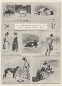 The Championship Open Show of the Ladies